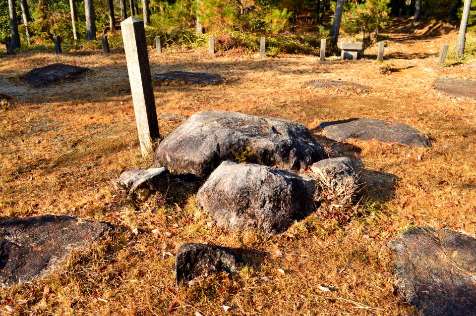 Dairino Site of Shigaraki Palace Site, tou-ato-2