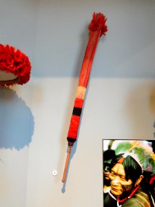 Dance wand, Munduruku people, basketry and feathers - South American collection - Peabody Museum, Harvard University - DSC05694