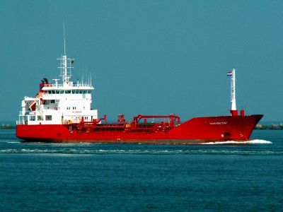 Danchem East (ship, 1992) approaching Port of Rotterdam