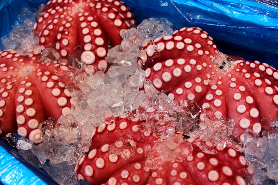 Red tsukiji japanese