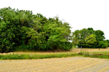 Dan-no-tsukaana Kofun Group, zenkei
