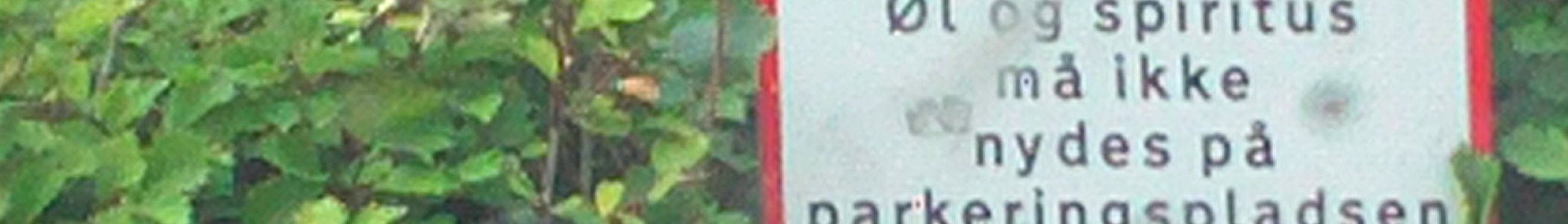 Danish phrasebook banner