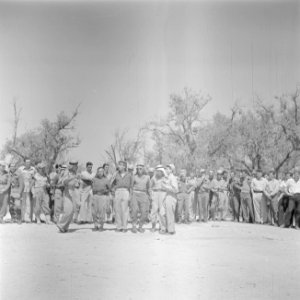 Dansende leden van een eenheid Druzen uit het Israelische leger begeleid op de f, Bestanddeelnr 255-0966