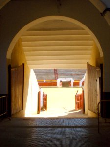 Daimiel - Plaza de Toros 4