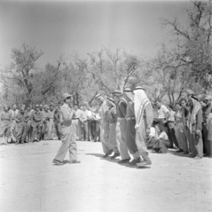 Dansende leden van een eenheid Druzen uit het Israelische leger, Bestanddeelnr 255-0964