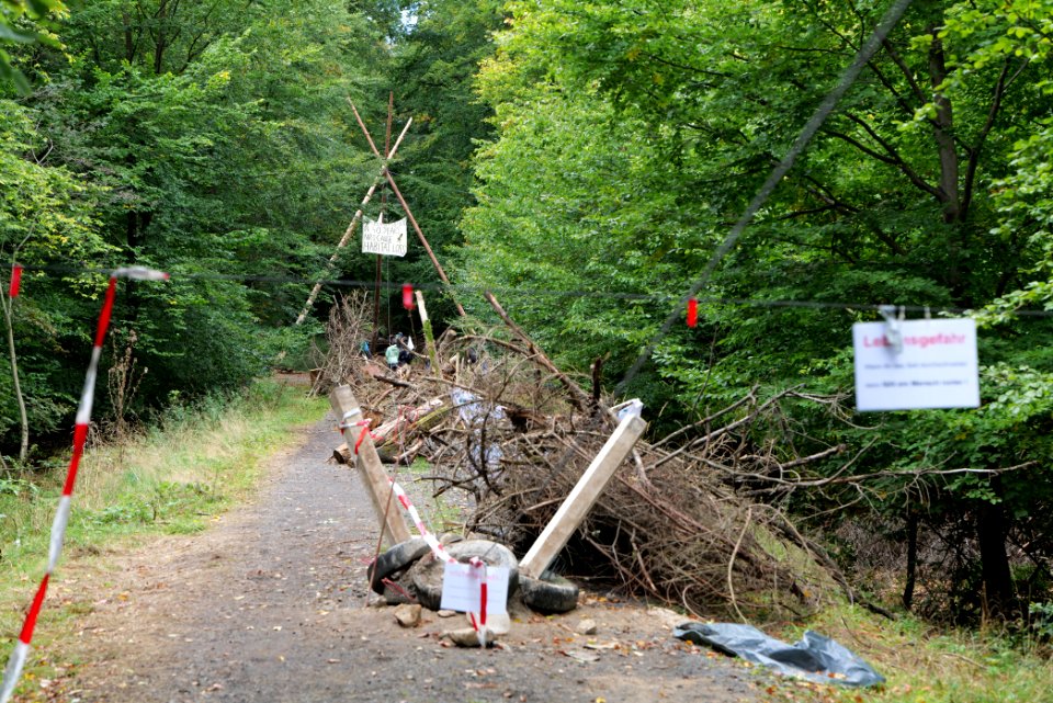 Dannenrod Forest occupation 2020-10-04 08