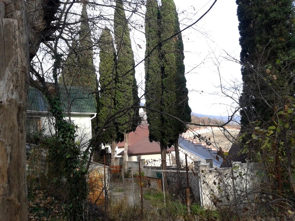 Danilovka Yalta 8