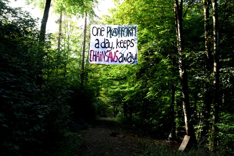 Dannenrod Forest occupation 2020-10-04 12
