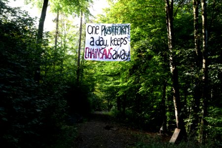 Dannenrod Forest occupation 2020-10-04 12