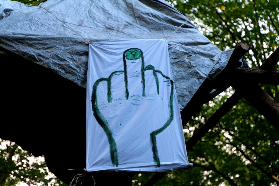 Dannenrod Forest occupation 2020-10-04 16
