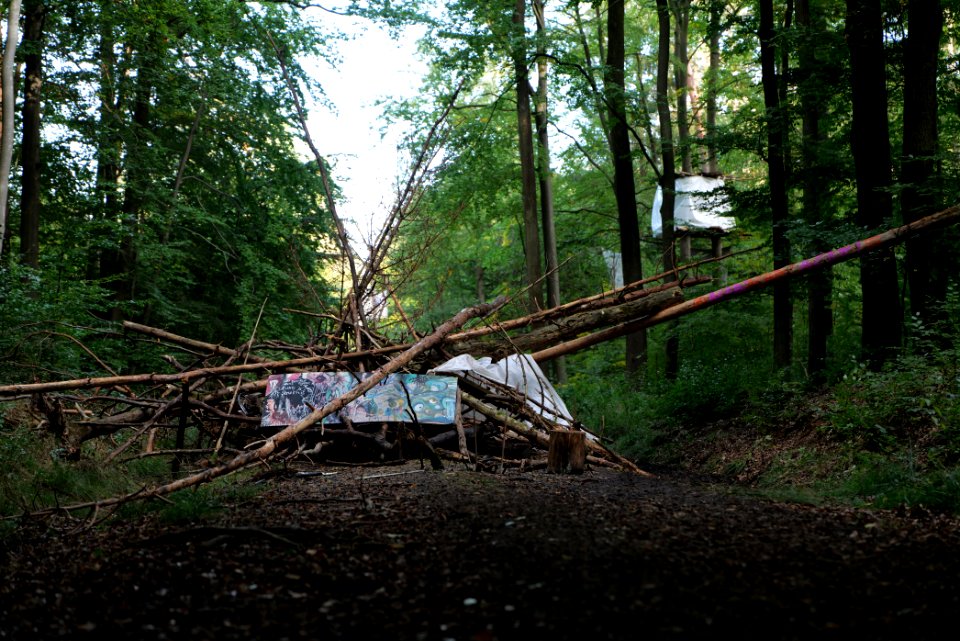 Dannenrod Forest occupation 2020-10-04 21
