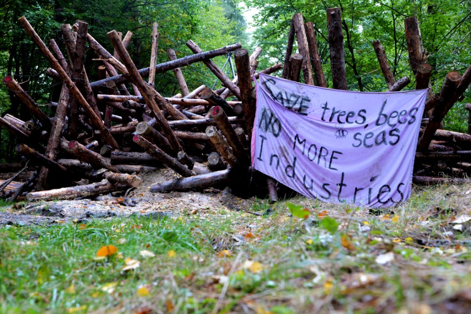 Dannenrod forest occupation 2020-10-08 53