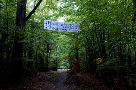 Dannenrod forest occupation 2020-10-08 56