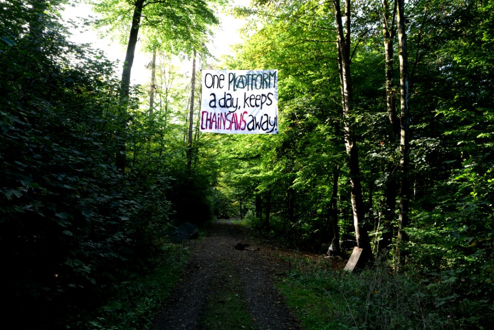 Dannenrod Forest occupation 2020-10-04 11