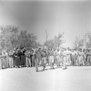 Dansende leden van een eenheid Druzen uit het Israelische leger begeleid op de f, Bestanddeelnr 255-0967