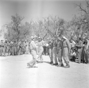 Dansende leden van een eenheid Druzen uit het Israelische leger, Bestanddeelnr 255-0965
