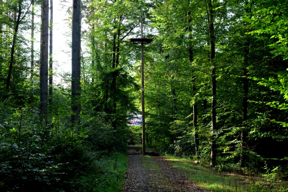 Dannenrod Forest occupation 2020-10-04 14