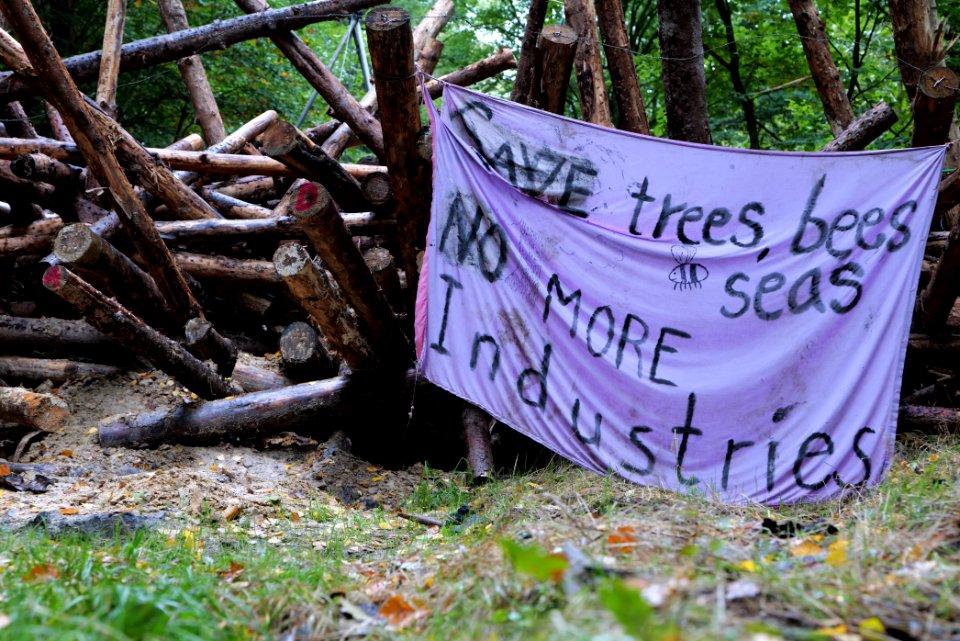 Dannenrod forest occupation 2020-10-08 51