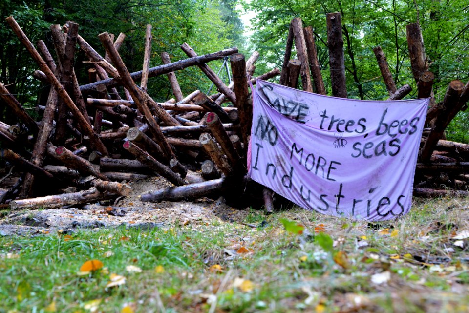 Dannenrod forest occupation 2020-10-08 52