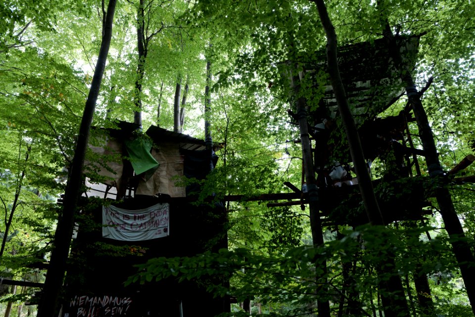 Dannenrod Forest occupation 2020-10-04 01