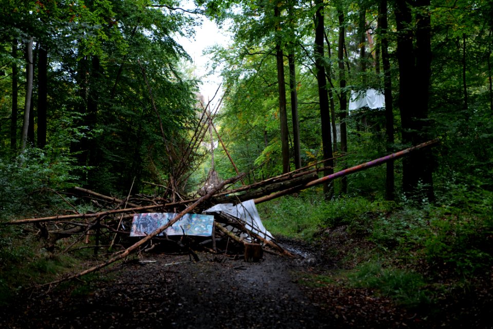Dannenrod forest occupation 2020-10-08 34