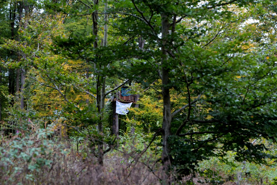 Dannenrod forest occupation 2020-10-08 18