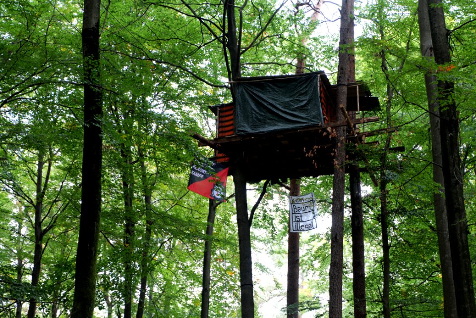 Dannenrod forest occupation 2020-10-08 05