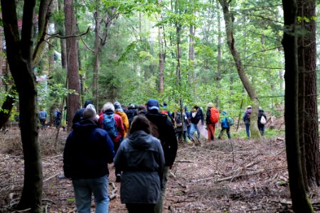 Dannenrod Forest forestwalk 2020-10-04 25