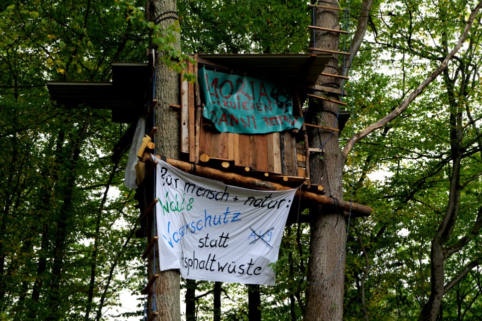 Dannenrod forest occupation 2020-10-08 25