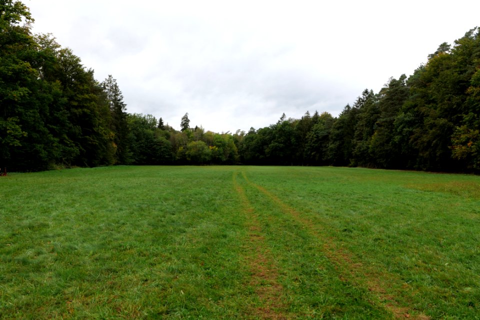Dannenrod forest 2020-10-08 21