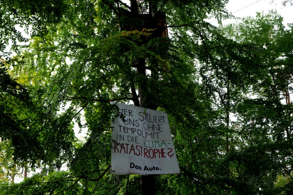 Dannenrod Forest occupation 2020-10-04 04