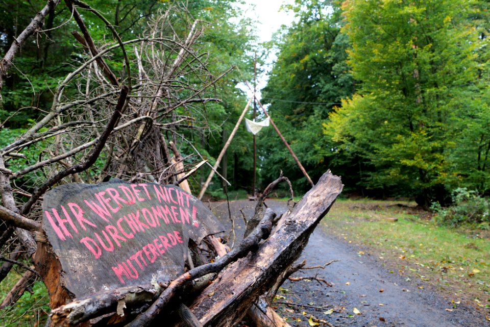 Dannenrod forest occupation 2020-10-08 38