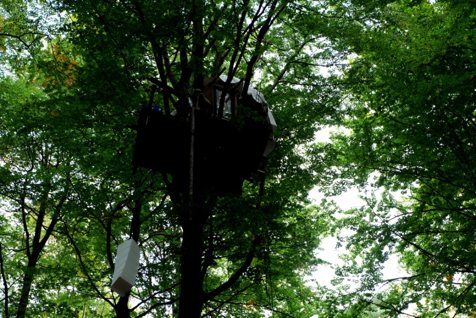 Dannenrod forest occupation 2020-10-08 06