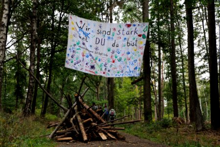 Dannenrod Forest forestwalk 2020-10-04 18