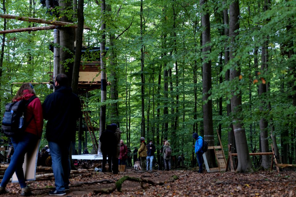 Dannenrod Forest forestwalk 2020-10-04 33