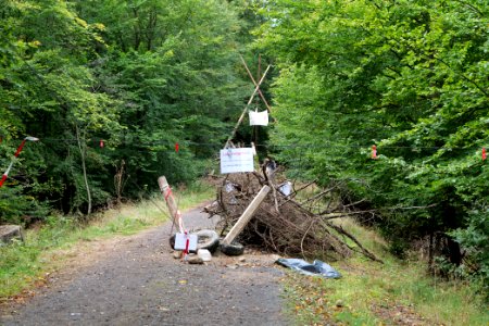 Dannenrod Forest occupation 2020-10-04 05