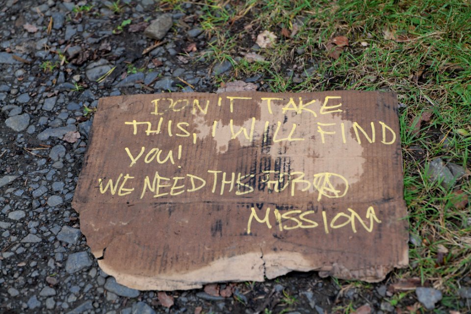 Dannenrod Forest occupation 2020-10-04 18
