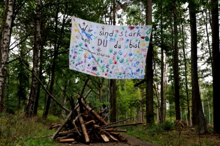 Dannenrod Forest forestwalk 2020-10-04 19