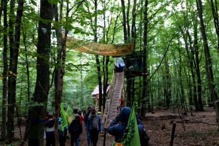 Dannenrod Forest forestwalk 2020-10-04 40