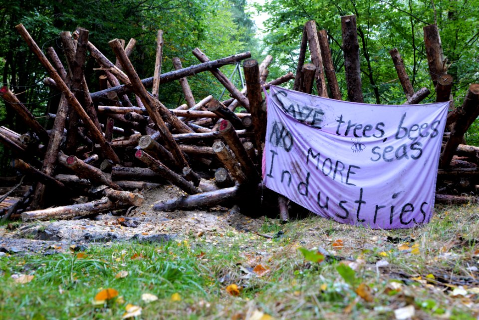 Dannenrod forest occupation 2020-10-08 49