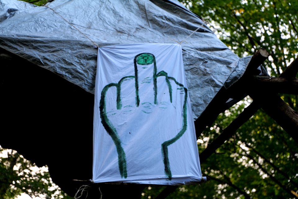 Dannenrod Forest occupation 2020-10-04 15