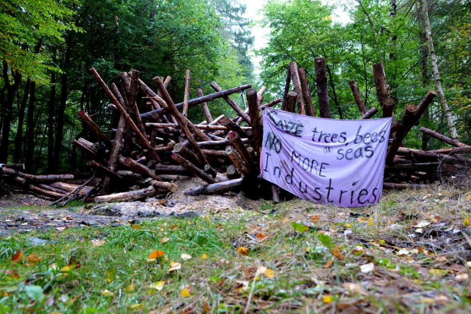 Dannenrod forest occupation 2020-10-08 48