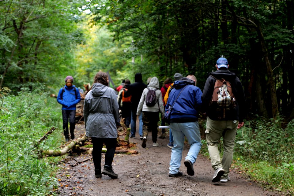 Dannenrod Forest forestwalk 2020-10-04 24