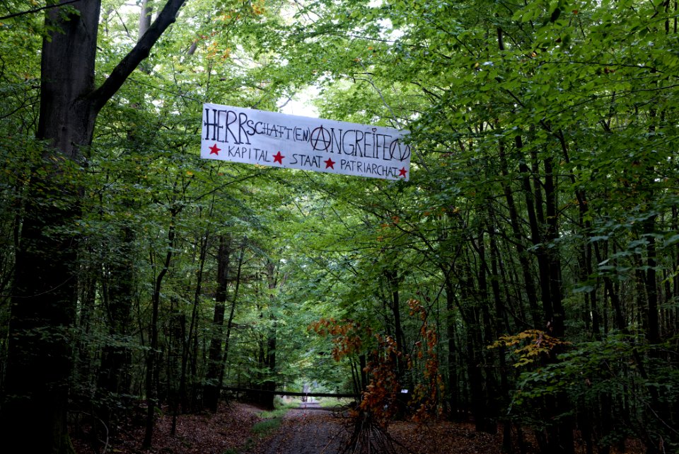 Dannenrod forest occupation 2020-10-08 57