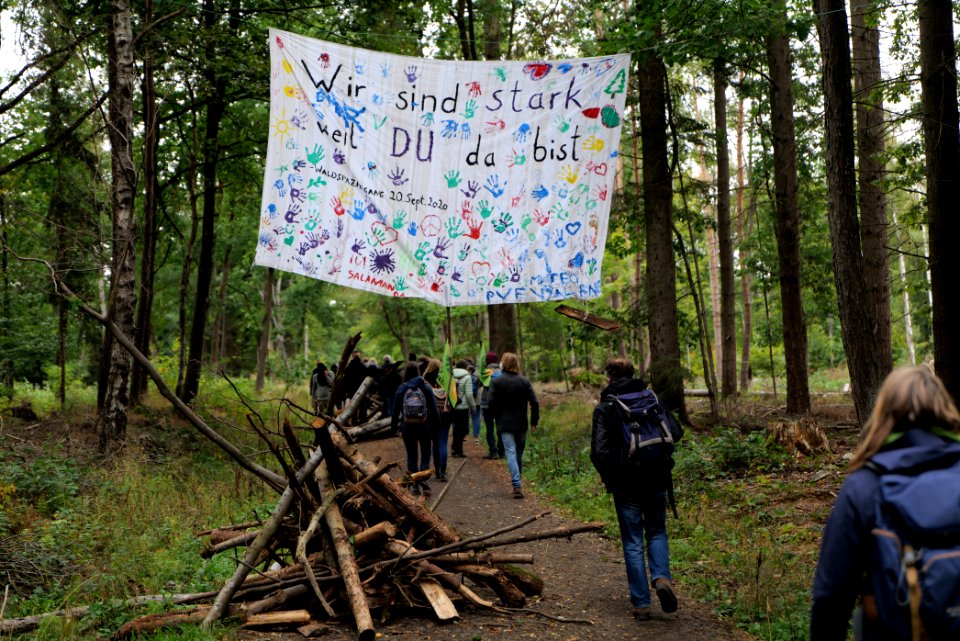 Dannenrod Forest forestwalk 2020-10-04 15