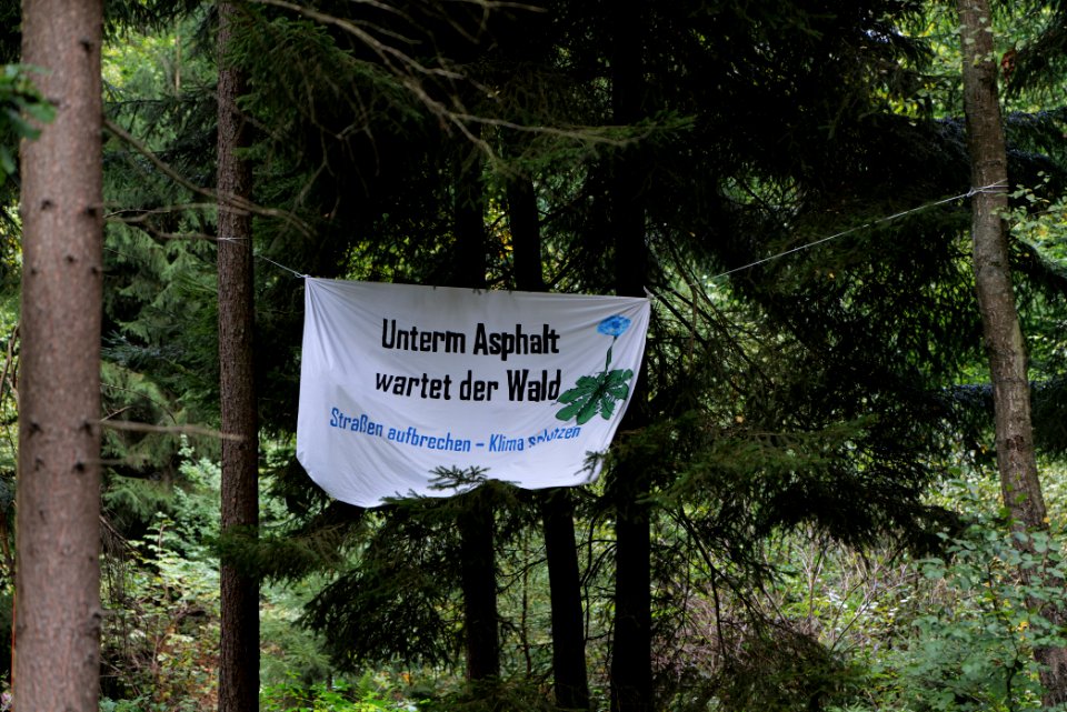 Dannenrod Forest forestwalk 2020-10-04 32