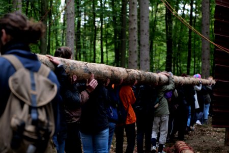 Dannenrod Forest forestwalk 2020-10-04 49