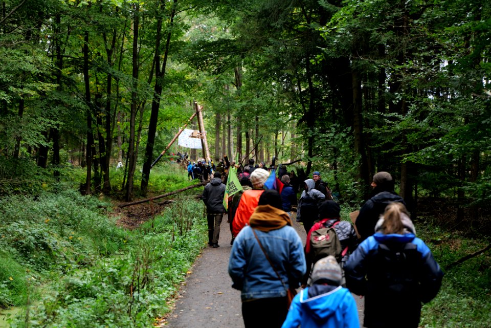 Dannenrod Forest forestwalk 2020-10-04 11