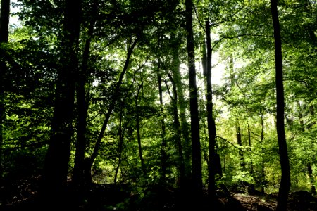Dannenrod Forest 2020-10-04 22