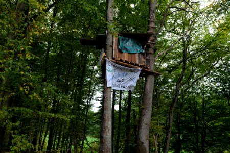 Dannenrod forest occupation 2020-10-08 27